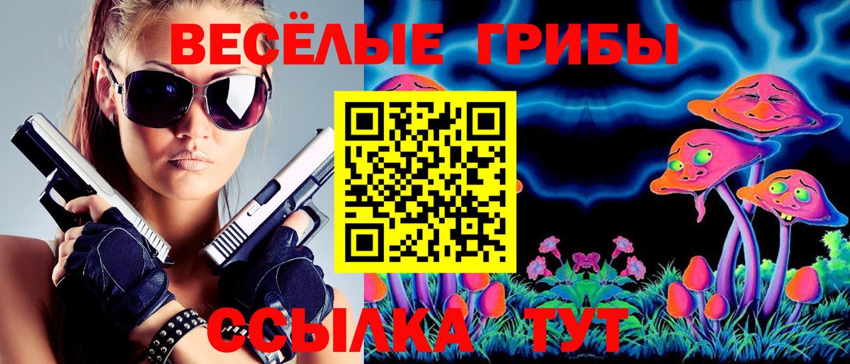 Галлюциногенные грибы MAGIC MUSHROOMS  Вход с VPN  Псилоцибиновые грибы мухоморы  Полысаево 
